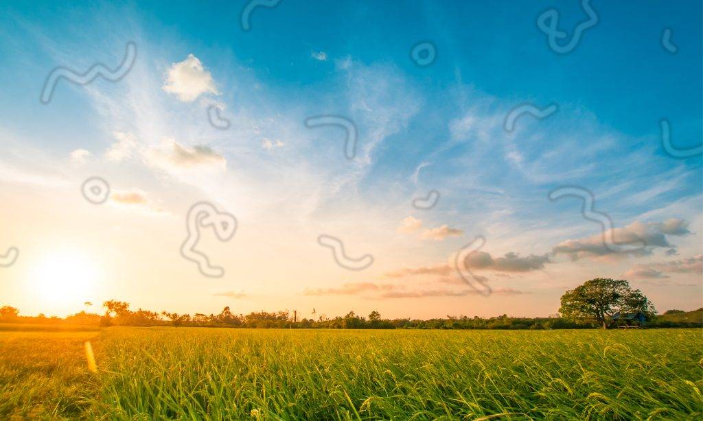 What Causes Eye Floaters?
